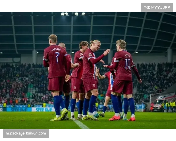 哈兰德助挪威终结27年等待 北欧海盗重返世界杯舞台